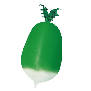 791青萝卜种子四季播蔬菜罗卜青皮萝卜半白甜脆型水果半青籽种孑