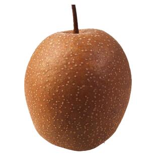 2025年新上市枣庄特产山亭铁雪红梨花皮秋可煮茶清甜特价五斤包邮