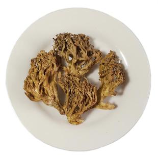 新货云南土特产煲汤食材农家干菌食用野生菌珊瑚菌菇类干货扫把菌