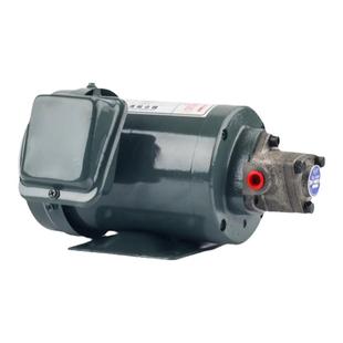 TOP-12A低噪音机油泵380V液压齿轮润滑泵三角泵摆线泵WLP油泵电机