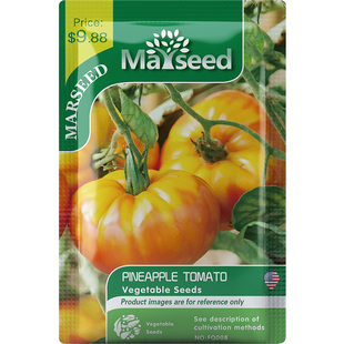 【MARSEED火星家】老品种农家传家宝 菠萝大牛排番茄种子籽孑苗