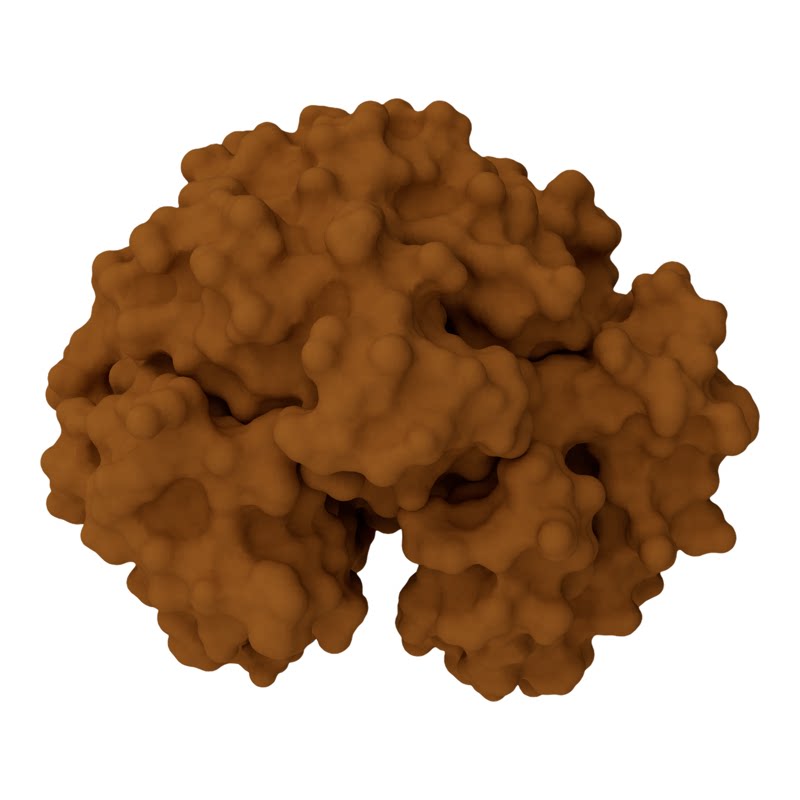 血红蛋白生物模型科研素材C4D 3D格式源文件热门高清素材技能模版