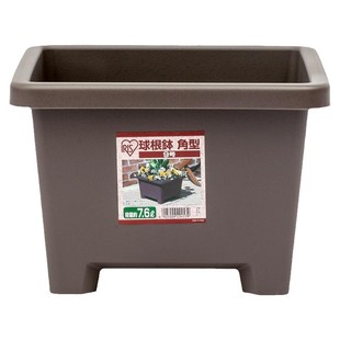 爱丽思方形花盆朱顶红专用盆花卉盆栽塑料阳台种菜方盆爱丽丝花盆