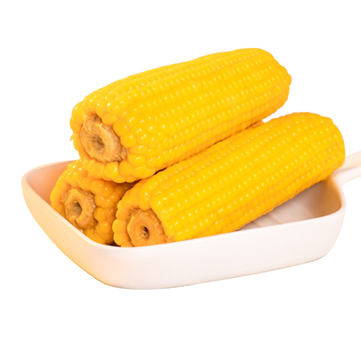 内蒙特产蒙谷阳光新鲜香糯玉米真空包装软糯香甜粗粮新鲜东北