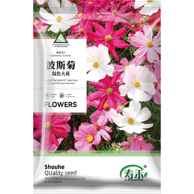 波斯菊花种子格桑花种籽