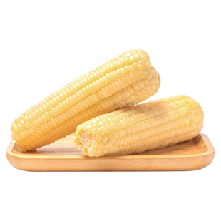 析芮东北吉林有机鲜食甜糯香白玉米黏粘白玉米棒真空包装早餐代餐