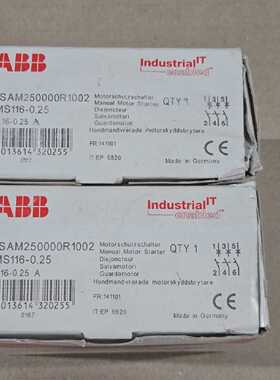ABB 1SAM250000R1002 MS116-0,25 (2 Stück) NEU