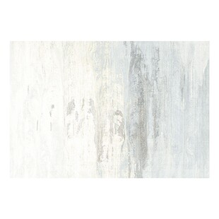 三顺暖润电热地毯石墨烯地暖垫家用可拆洗移动发热加热地垫地热垫