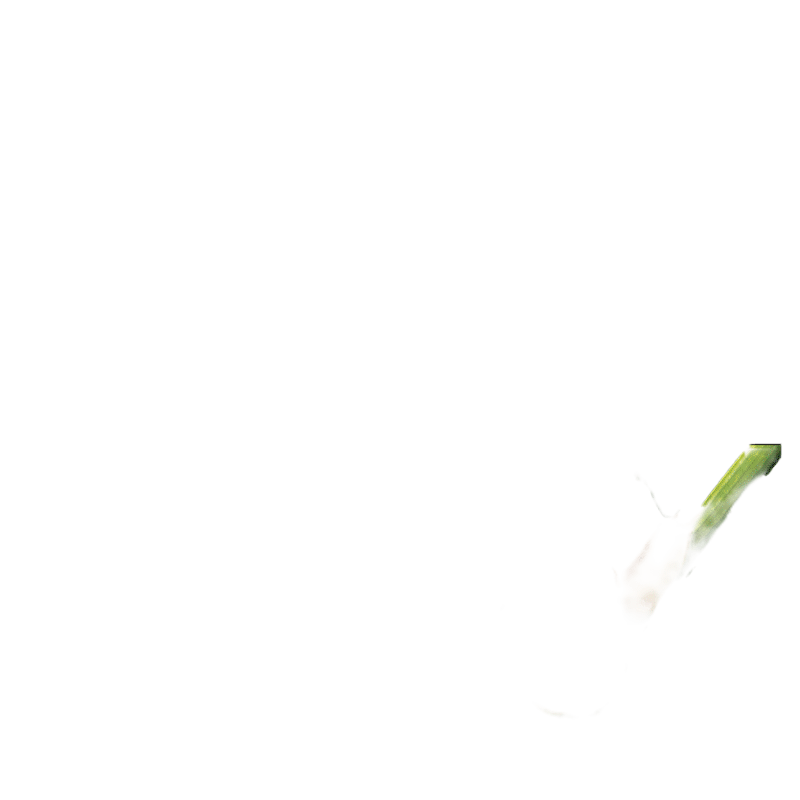 英文原版 Penguin Young Readers  Level 2 企鹅青少分级阅读2级读物 动物主题 6册 小蜗牛 小狗 小猪 小仓鼠 英文版 进口英语书籍