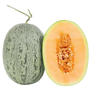 正宗西州蜜哈密瓜新鲜哈密瓜应季甜脆清爽可口网纹瓜孕妇水果