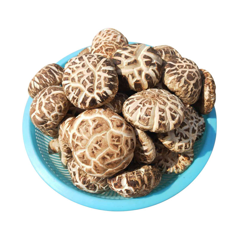 新品随州花菇干货500g包邮湖香菇类