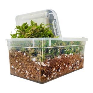 乌龟冬眠土爬宠椰土免泡型巴西龟草龟过冬窝沙土箱保暖苔藓饲养箱