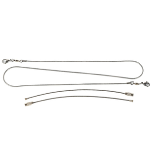 鹦鹉不锈钢脚链脚环活扣超轻小太阳专用不伤脚放飞牵引绳免费刻字