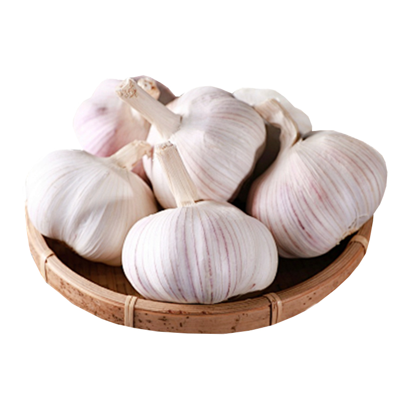 大夏臻品山东金乡大蒜头新鲜紫皮干蒜2025本地农家白皮独头蒜种子