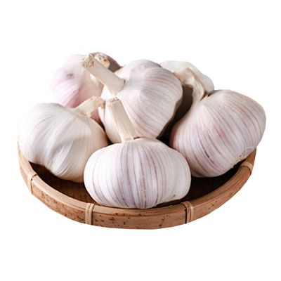 大夏臻品山东金乡大蒜头新鲜紫皮干蒜2025本地农家白皮独头蒜种子