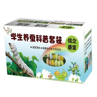 蚕宝宝学生养蚕套装活体新鲜桑叶幼小蚕蚕卵籽七彩色1234龄金丝蚕