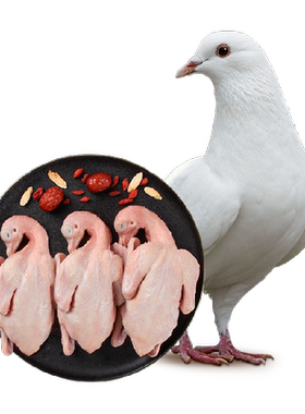 温氏食品散养乳鸽纯天然900g