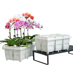 美莳蝴蝶兰专用花盆花架组合方形透气超陶瓷塑料套盆带托盘控根盆