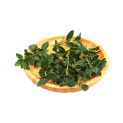 六月雪西餐配菜装饰点缀摆盘装饰