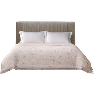 ROYALCOVER/罗卡芙波利卡100%可水洗桑蚕丝夏被空调被夏凉被子