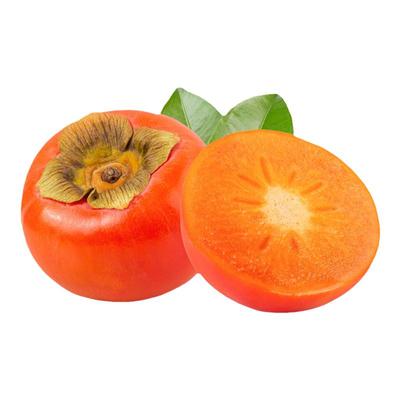 小果甜柿太秋日本甜柿脆柿子树苗