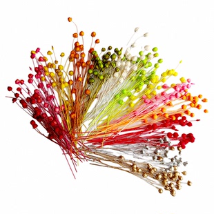 diy干花富贵豆永生花相思豆手工材料胡麻豆浮游瓶小星豆短枝配花