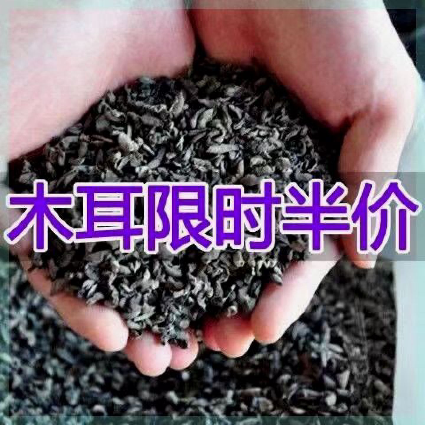 新疆包邮西藏正宗东北野生黑木耳干货野生小碗耳肉厚无根农家