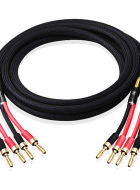 ATAUDIO R9发烧级无氧铜带镀银神经线音箱喇叭线音响线连接专用线