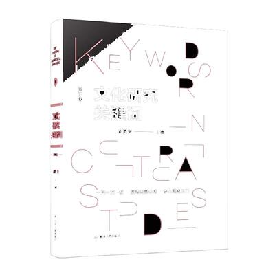 文化研究关键词汪民安文科入门书