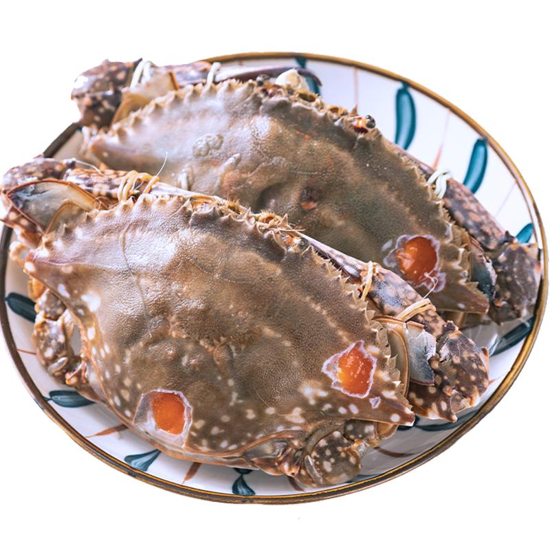 紅膏嗆蟹飛機寧波特產(chǎn)生腌舟山梭子蟹糊咸蟹醉蟹螃蟹熗蟹即食整只