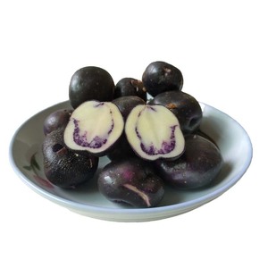 2024年凉山土豆10斤包邮新鲜紫色七彩乌洋芋高山小土豆蔬菜芋头