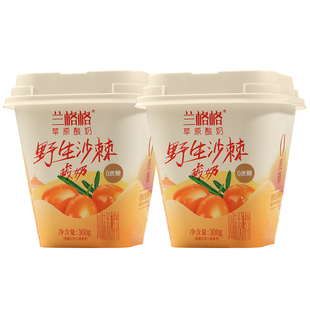 兰格格草原酸奶野生沙棘300g*2杯0蔗糖低温沙棘味酸奶