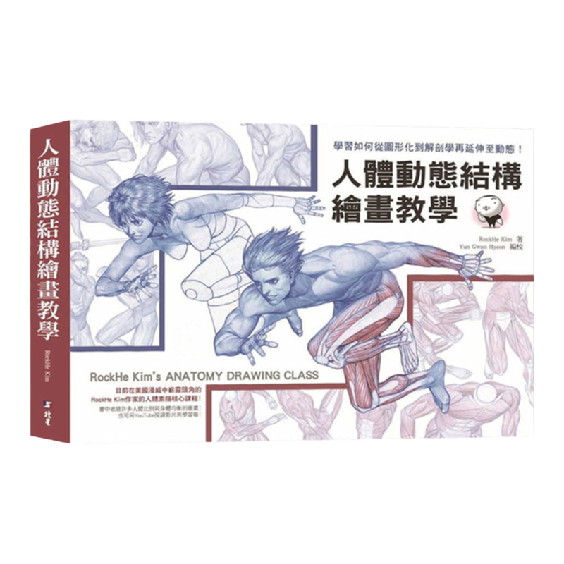 预售人体动态结构绘画教学