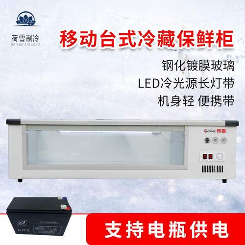 摆摊三轮车冰柜冷藏烘焙糖葫芦柜烧烤串串可移动三轮车小冰箱两用