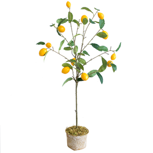 阿楹 高仿真绿植盆栽室内假花柠檬树果实 客厅落地大摆件阳台装饰