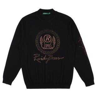 【100%绵羊毛】RaidyBoer/雷迪波尔25秋男烫钻刺绣毛衣羊毛衫5054