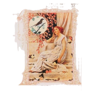 【原装进口】夜莺小夜曲集 曼妙沙龙音乐 Serenata CD唱片4123222