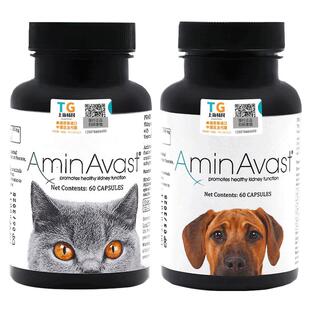 美国胺肾AminAvast肾衰停猫狗胺肾急慢性肾衰竭损伤降磷肌酐病