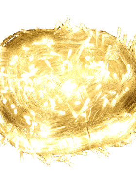led彩灯闪灯串灯满天星户外防水