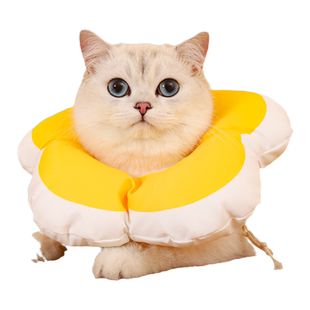 猫咪伊丽莎白圈防舔头套脖套猫绝育软圈幼猫宠物伊利沙白项圈用品