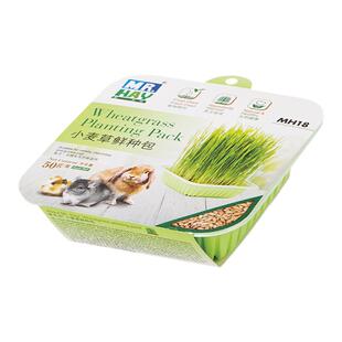 MR. Hay 草先生小麦草鲜种包 自家种植兔子鲜草新鲜 DIY小麦草50g