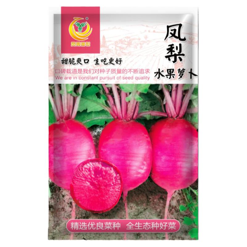 凤梨水果萝卜种子黑龙黑长种籽