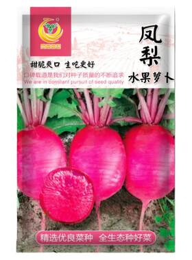 凤梨水果萝卜种子黑龙黑长种籽