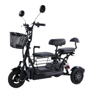 电动三轮车迷你家用接送孩子小型女士亲子带娃老年代步锂电电瓶车