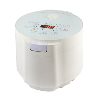 金纳斯电饭煲5L大容量智能家用电饭锅压力锅多功能压力煲低糖煲