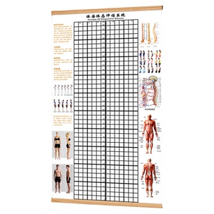 体态评估图挂式体测表健身房瑜伽馆脊柱修复身体矫正网格图墙贴qt