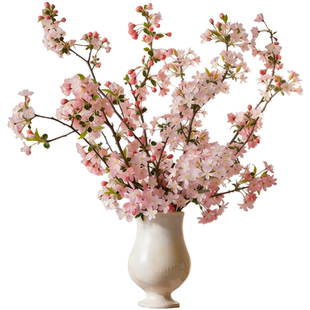 海棠花鲜切花水培绿植水养带花苞四季鲜花开花室内客厅插花卉好养