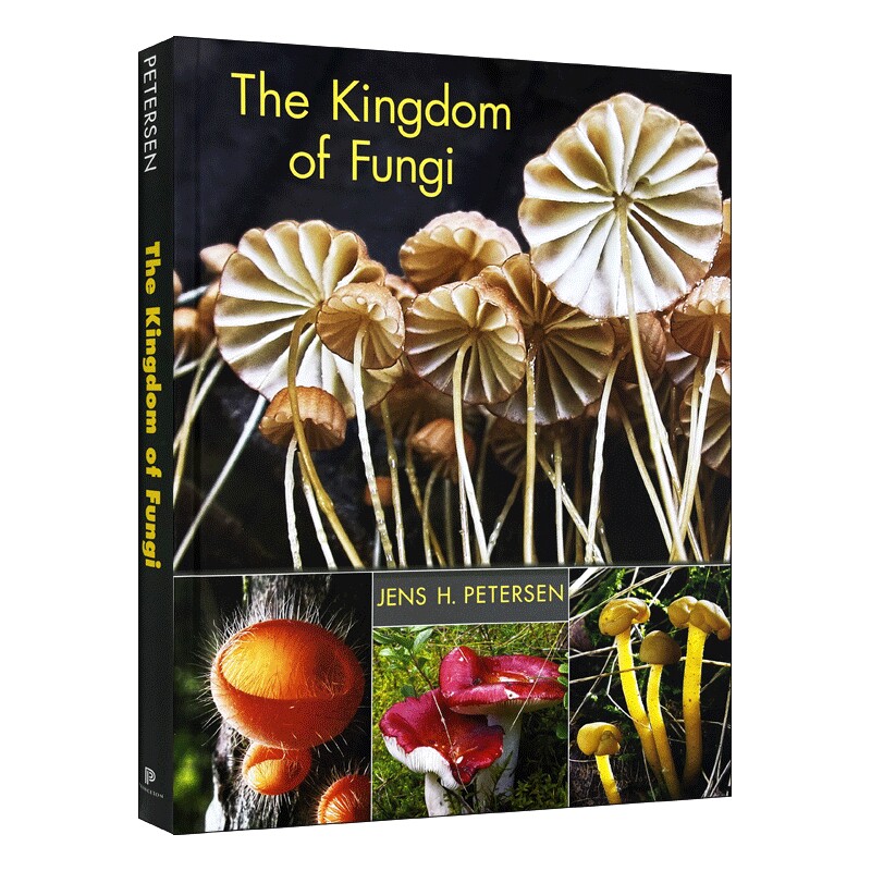 英文原版 The Kingdom of Fungi 真菌王国 精装 英文版 进口英语原版书籍