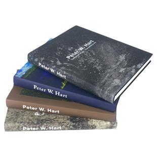 抽象艺术油画样板间饰品摆件真书本样板房书籍茶几书房书柜装饰书