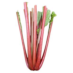 重庆新鲜红萝卜杆子红萝卜缨子红萝卜梗梗红梗萝卜缨子菜梗子泡菜